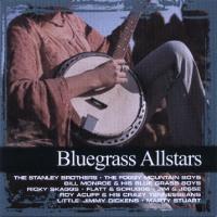 Bluegrass - Bluegrass Allstars